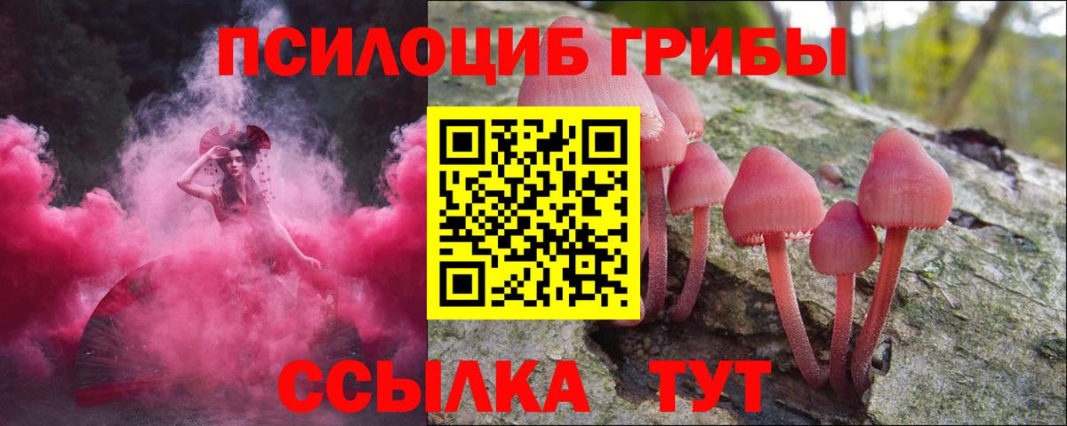 Кохма  Псилоцибиновые грибы мицелий  Вход с VPN  Псилоцибиновые грибы Magic Shrooms 